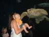 jordensfirstencounterwiththeturtle_small.jpg