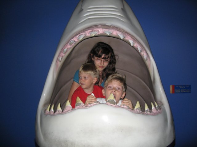 sharkattack.jpg