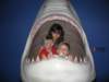 sharkattack_small.jpg