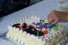thecake_small.jpg