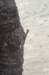 lizard2_small.jpg