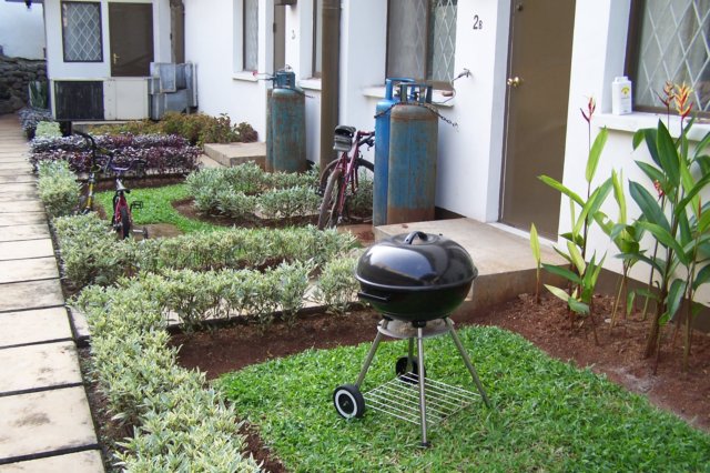 ourbackyardwithbbqpit.jpg