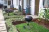 ourbackyardwithbbqpit_small.jpg