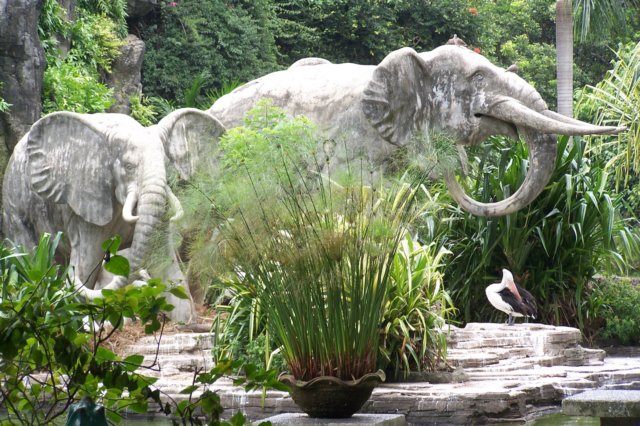 elephant2.jpg