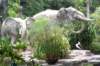 elephant2_small.jpg